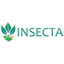 insecta